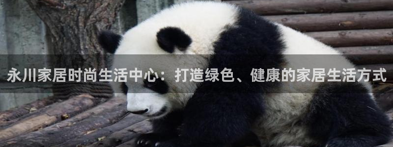 沐鸣2平台服务中心：永川家居时尚生活中心：打造绿色、健康的家