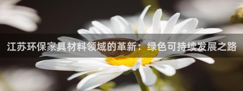 沐鸣2平台客户端：江苏环保家具材料领域的革新：绿色可持续发展