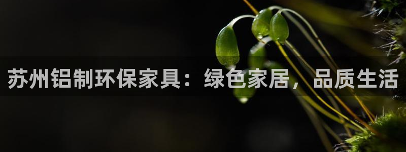 沐鸣2总代：苏州铝制环保家具：绿色家居，品质生活