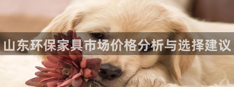 沐鸣2主管qq