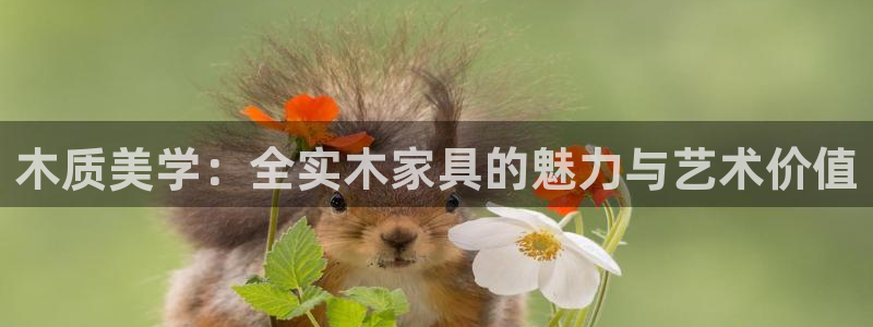 沐鸣2平台官网网址：木质美学：全实木家具的魅力与艺术价值