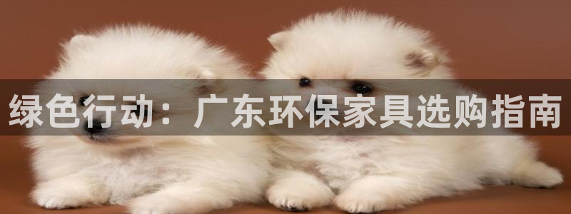 沐鸣2登入官网：绿色行动：广东环保家具选购指南