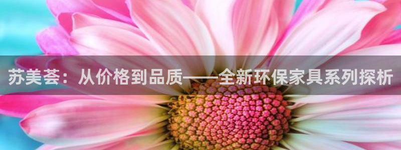 沐鸣2平台娱乐登陆：苏美荟：从价格到品质——全新环保家具系列