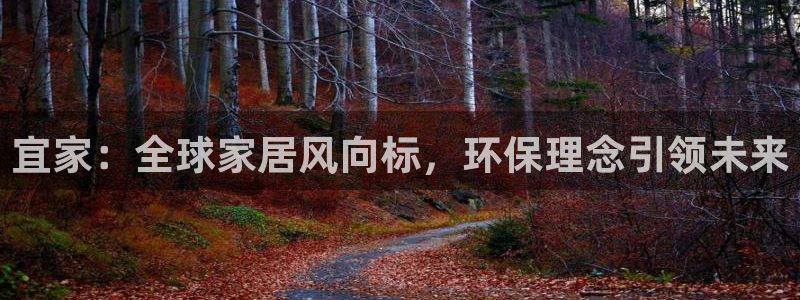 沐鸣2是什么平台：宜家：全球家居风向标，环保理念引领未来