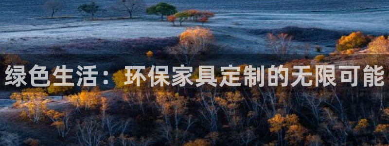 沐鸣2客户端登录：绿色生活：环保家具定制的无限可能