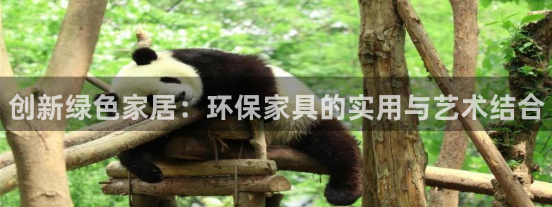 沐鸣2代理官网：创新绿色家居：环保家具的实用与艺术结合