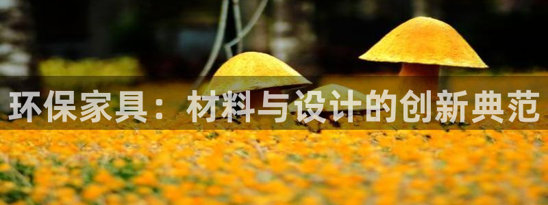 沐鸣2平台注册地址：环保家具：材料与设计的创新典范