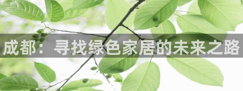 沐鸣2平台官方登录：成都：寻找绿色家居的未来之路