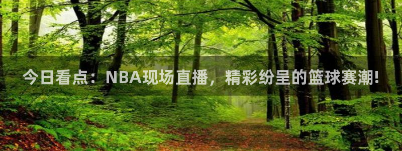 jrkan低调看高清直播nba：今日看点：NBA现场直播，精彩纷呈的篮球赛潮!