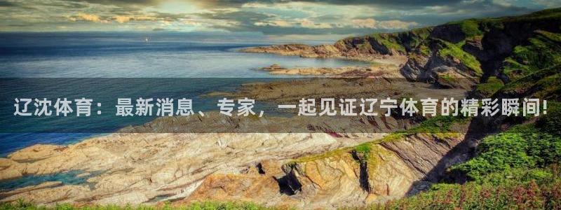 jrkan nba直播：辽沈体育：最新消息、专家，一起见证辽宁体育的精彩瞬间!