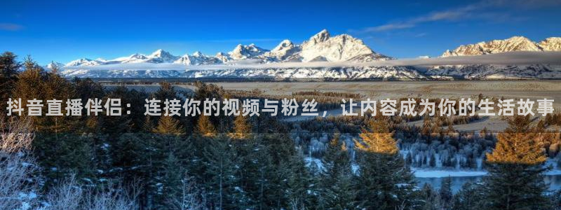 jrkan直播体育nba：抖音直播伴侣：连接你的视频与粉丝，让内容成为你的生活故事