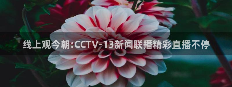 jrkan篮球直播：线上观今朝:CCTV-13新闻联播精彩直播不停
