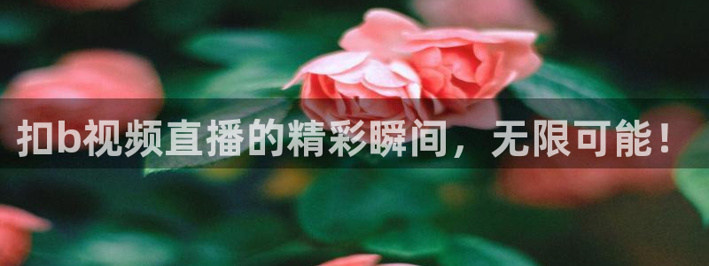 jrkan nba直播：扣b视频直播的精彩瞬间，无限可能！