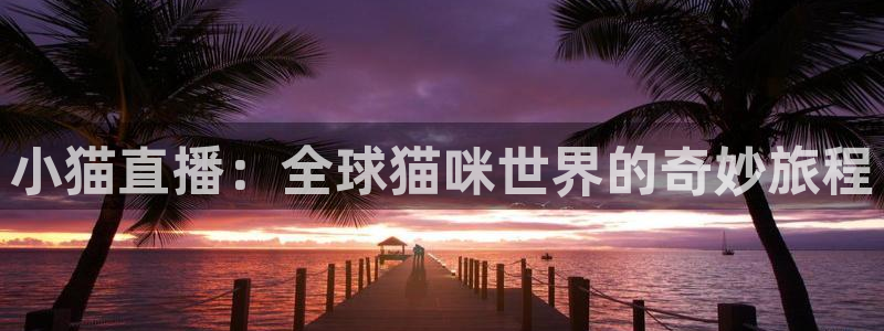 jrkan2022直播体育网：小猫直播：全球猫咪世界的奇妙旅程